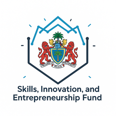 Funding Application for Startup 